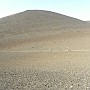 Teneriffa 2010 (57)